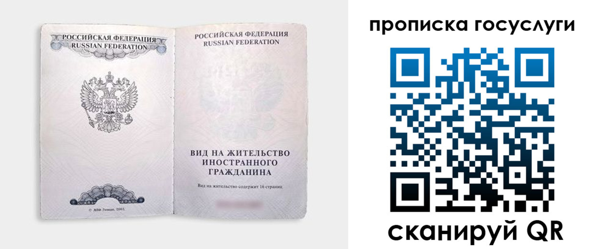 прописка поиск в Борзе